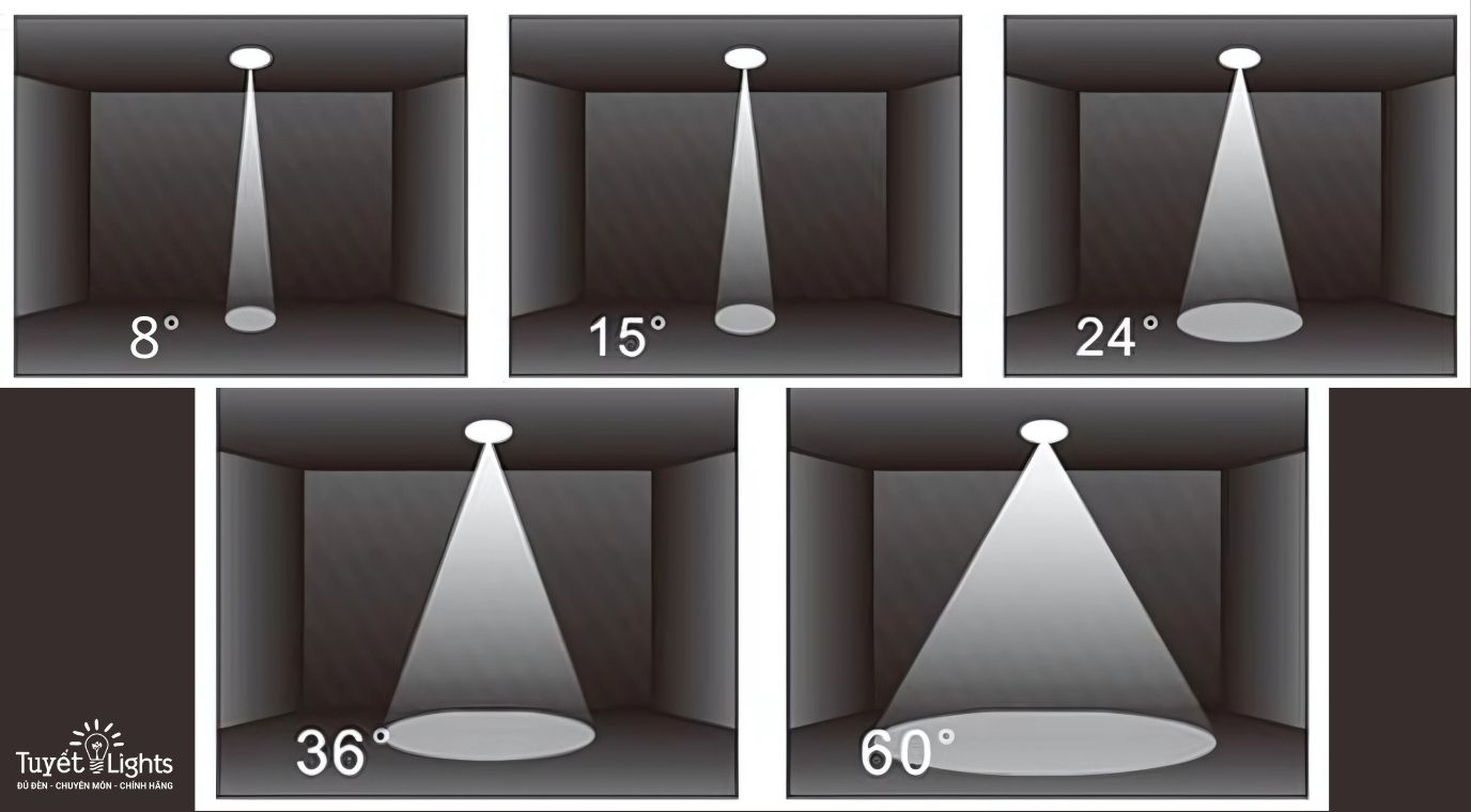 Kết hợp ánh sáng tổng thể và ánh sáng điểm nhấn: Sử dụng SPOT8 để tạo điểm nhấn cùng đèn góc rộng như 36° hoặc 55° để chiếu sáng không gian chung.
